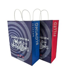 Camera Obscura white kraft carrier printed 100_ 3 colours with white paper twist handles